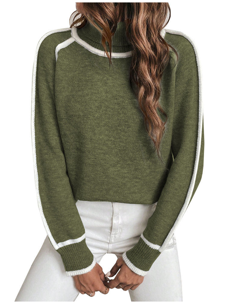 Fiora | Süßer Pullover mit hohem Kragen